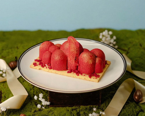 Raspbery Cloud Cake